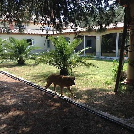 펜션 Quinta Serena